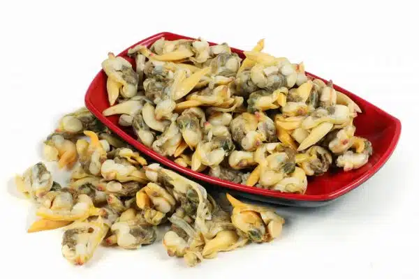 Clam Meat 1kg