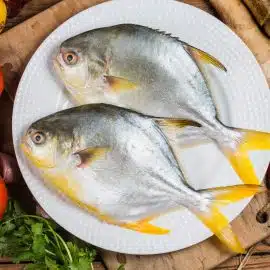 New Arrival Frozen Whole Round Golden Pompano Fish with All Size Available  - China Pompano, Pomfret Fish
