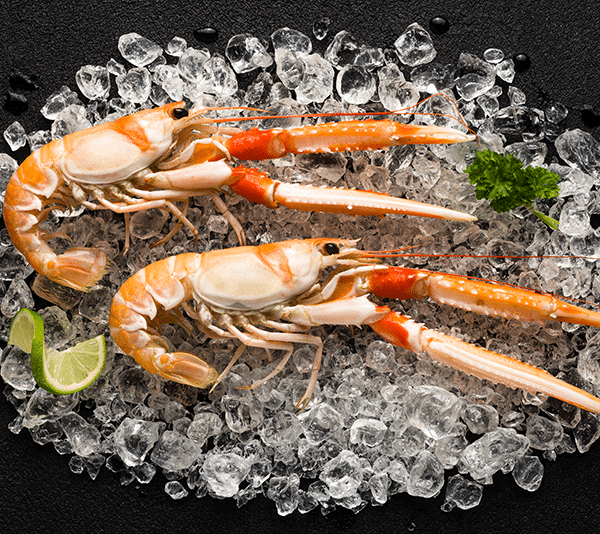 Frozen Scampi Frozen Fish Direct