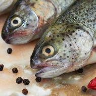 trout-350grams
