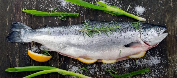 Salmon Whole Gutted 3- 3.5KG