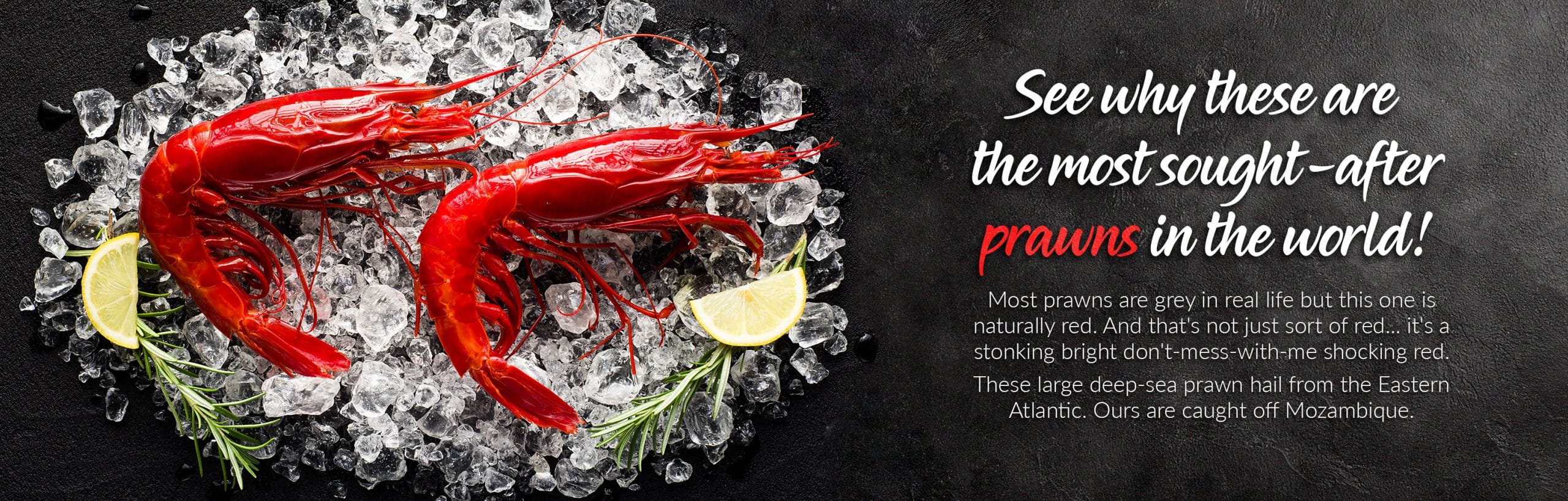 Buy Frozen Fish & Seafood Online Frozen Fish Direct