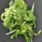 Wakame (Seaweed Salad) 1kg