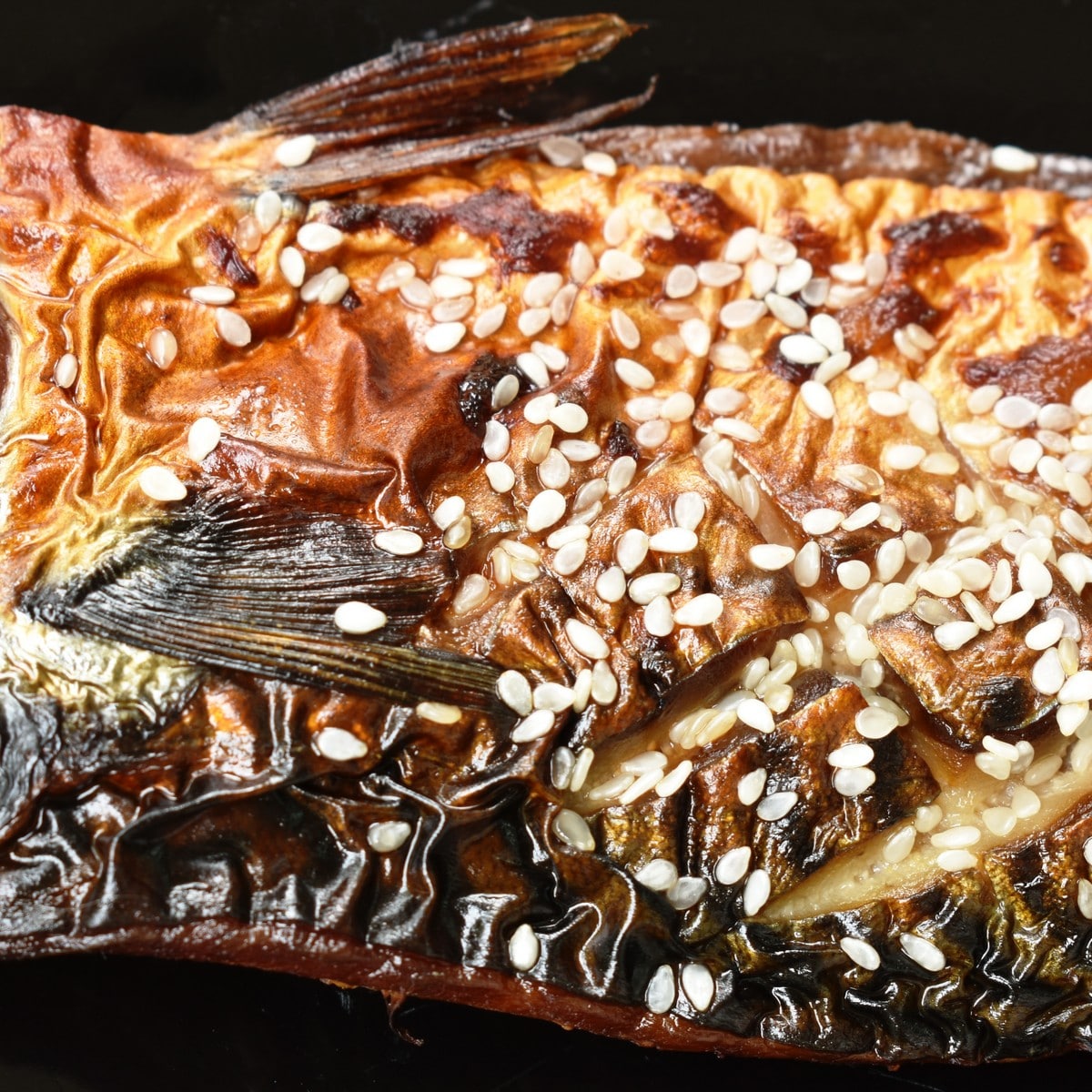 Grilled Mackerel with Sweet Soy Glaze Frozen Fish Direct