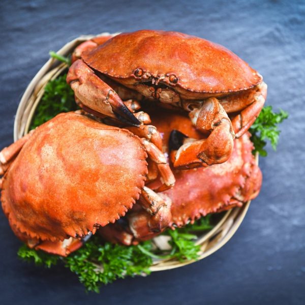 Cooked crab on steamer and dark background - Seafood boiled red