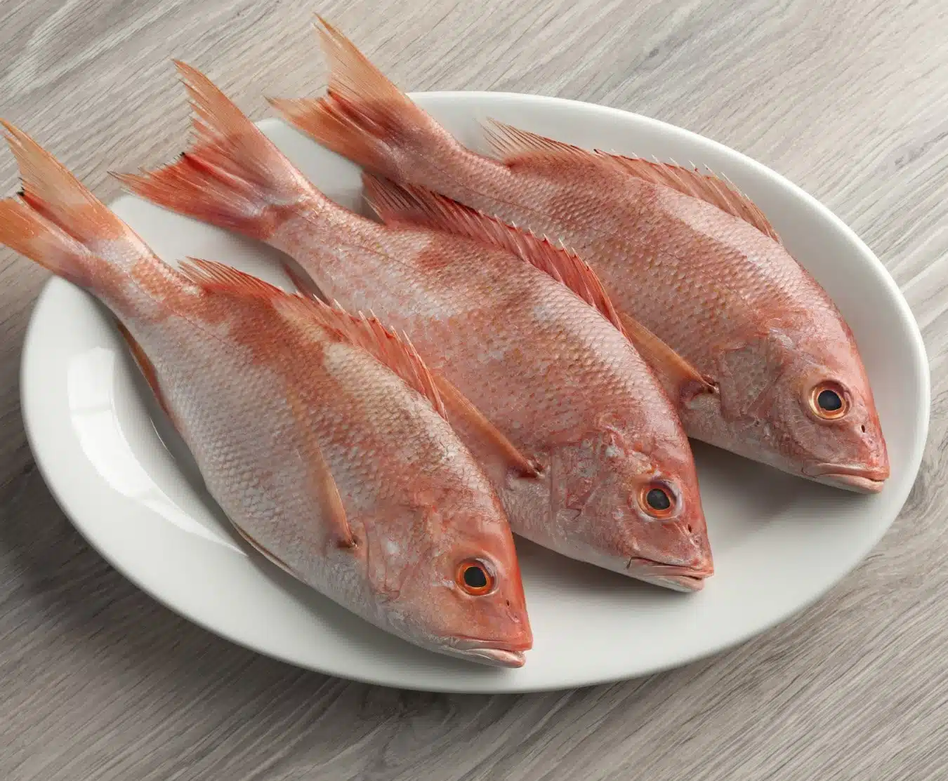 Freshwater Fresh Red Snapper / Kemberi Fish, 1 Kg