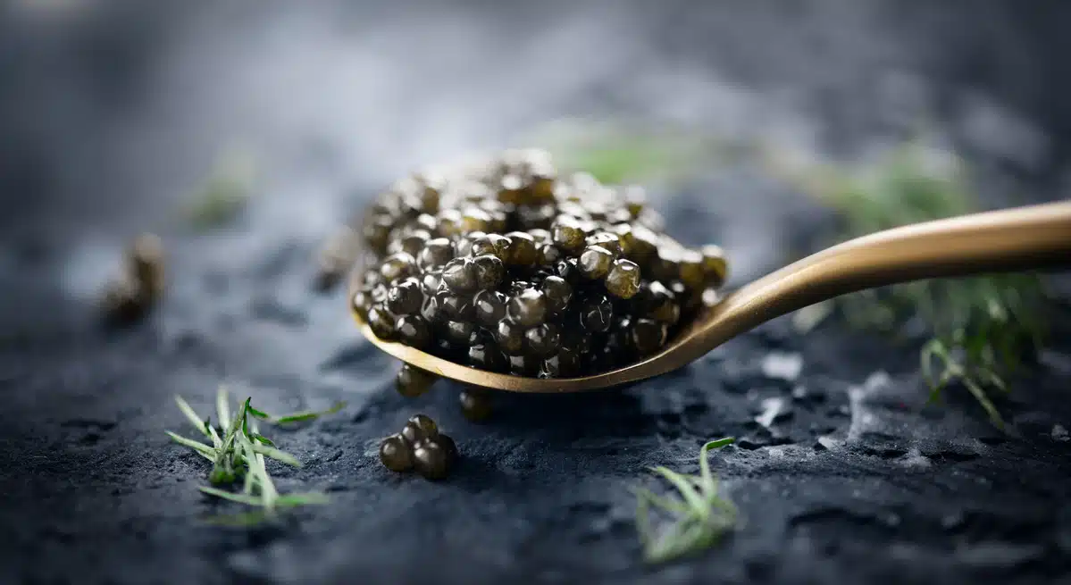 black caviar in a spoon on dark background. natural sturgeon bla