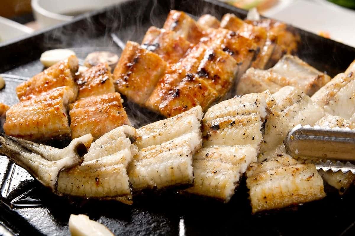 Eel – Frozen Fish Direct