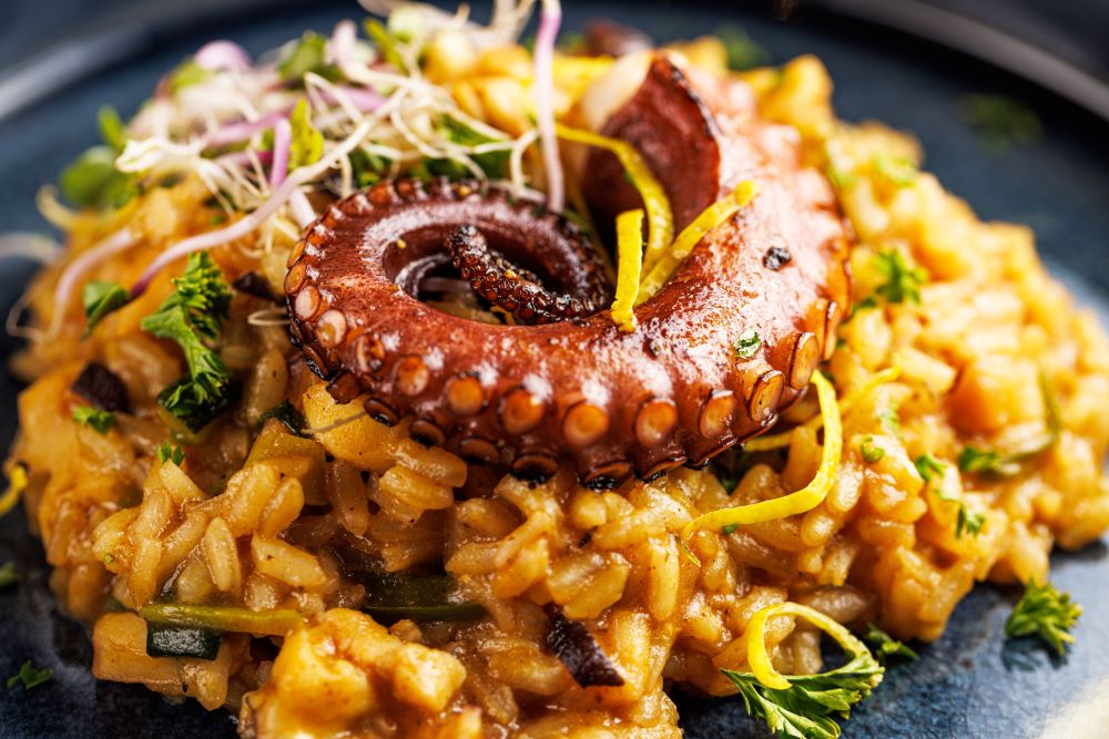 Octopus and Saffron Risotto Frozen Fish Direct