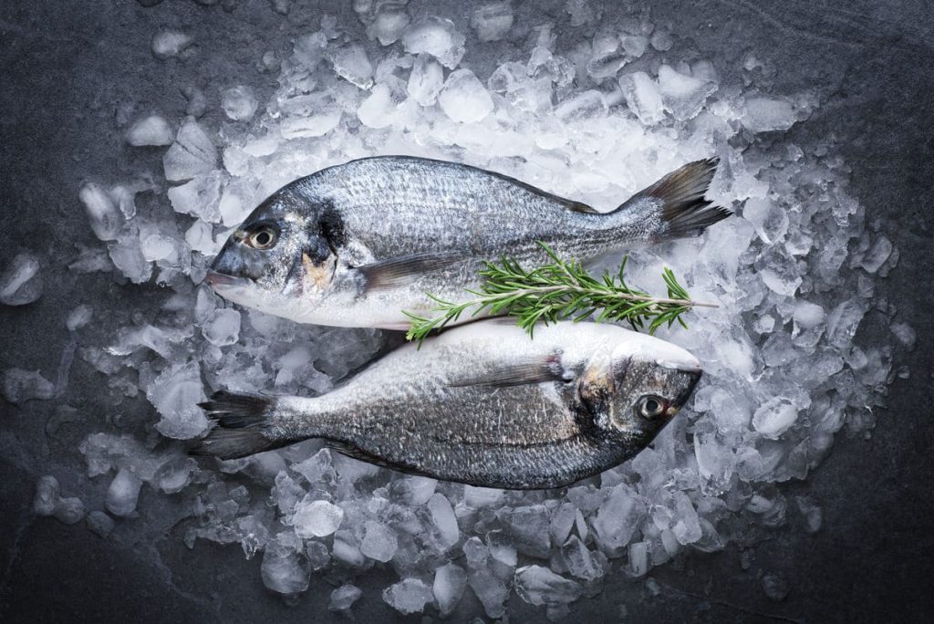 Sea Bream – Frozen Fish Direct