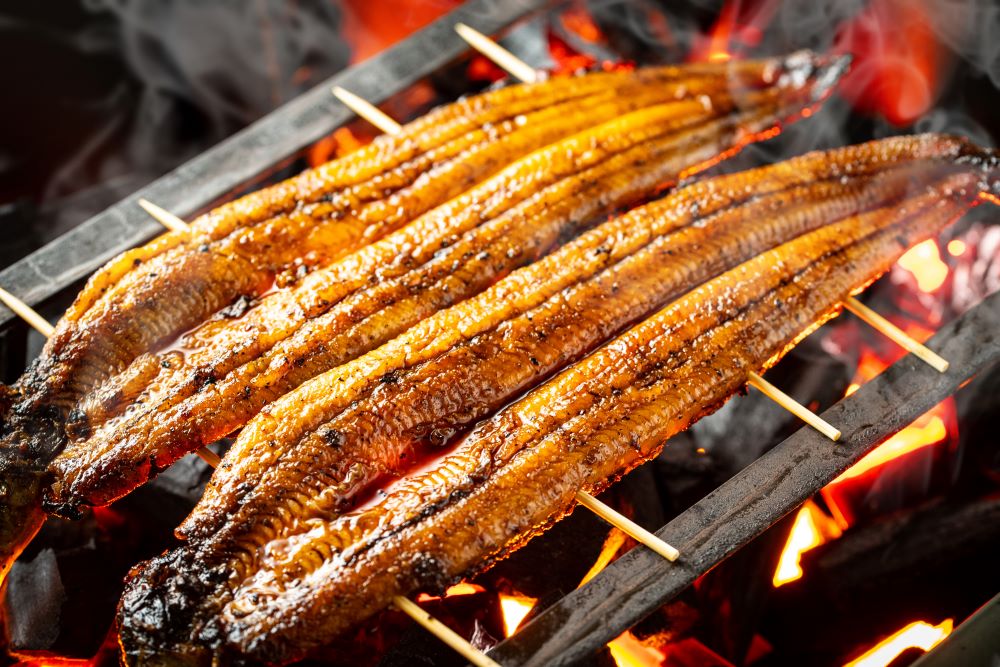 Grilled Eel Frozen Fish Direct