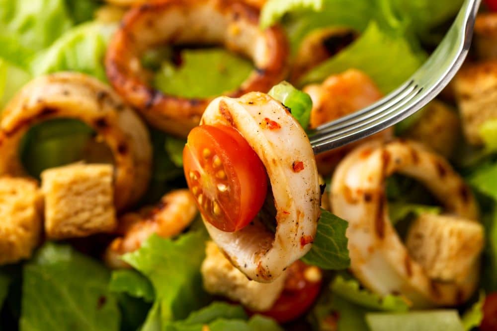 Grilled Squid Salad - Frozen Fish Direct