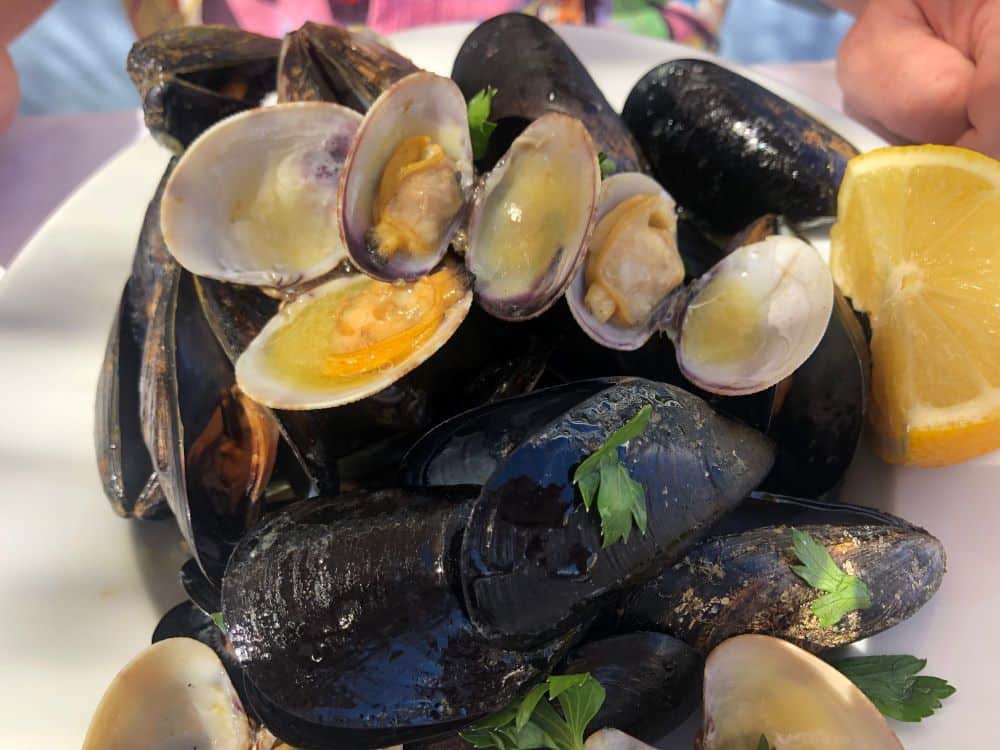 Mussels and Clams in Garlic Butter Frozen Fish Direct
