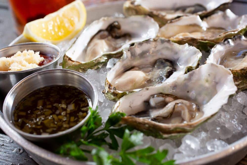 Oysters Frozen Fish Direct