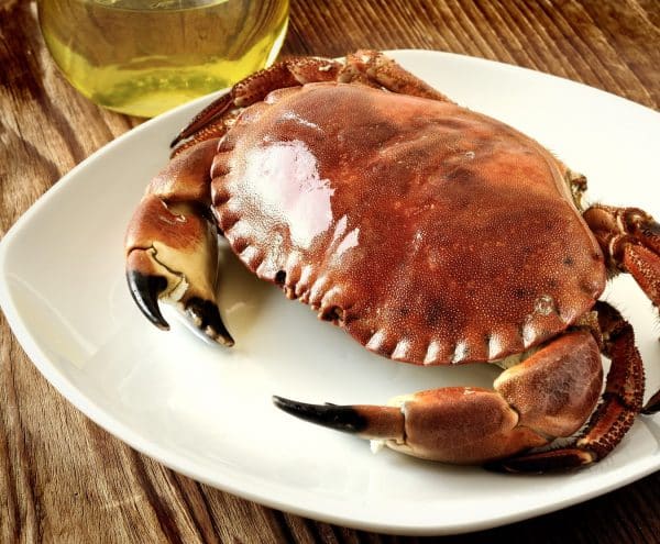 hen crab (cooked) 600 750g