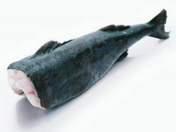 (black cod) sabblefish headed gutted 1.8/2.2kg