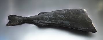 (black cod) sabblefish headed gutted 1.8/2.2kg