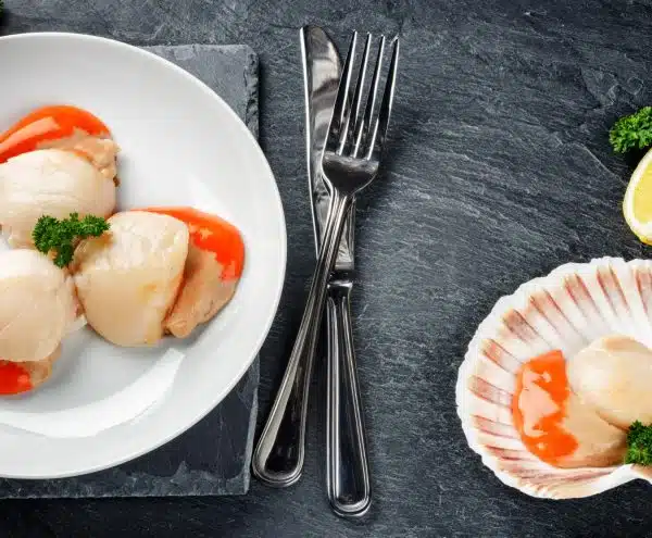 hand dived half shell scallops x 5
